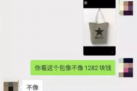 昌邑融资清欠服务